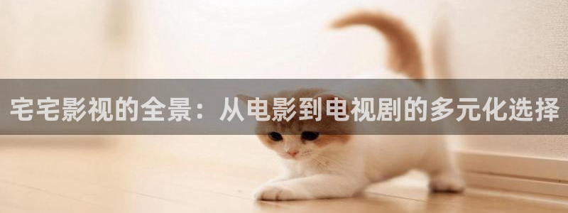 91蓝莓视频：宅宅影视的全景：从电影到电视剧的多元化选择