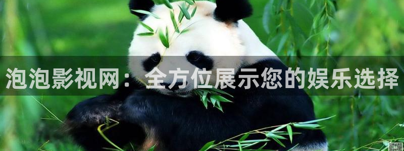 蓝莓视频免费网站：泡泡影视网：全方位展示您的娱乐选择