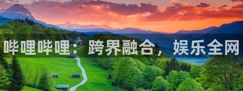 蓝莓小视频：哔哩哔哩：跨界融合，娱乐全网
