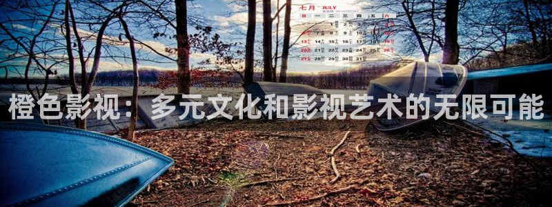 蓝莓视频免费版：橙色影视：多元文化和影视艺术的无限可能