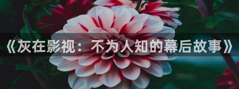 蓝莓视频成长：《灰在影视：不为人知的幕后故事》