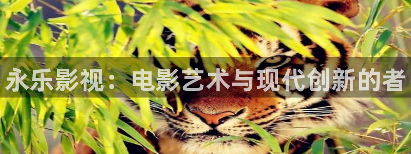 17c视频蓝莓：永乐影视：电影艺术与现代创新的者