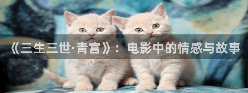 www.蓝莓视频.com：《三生三世·青宫》：电影中的情感与故事