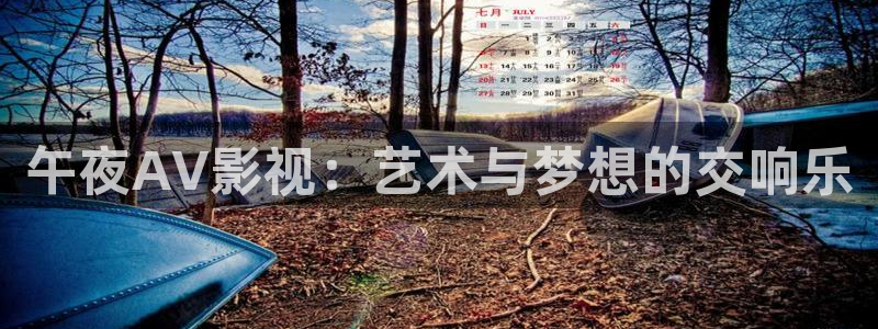 蓝莓视频免费观看：午夜AV影视：艺术与梦想的交响乐