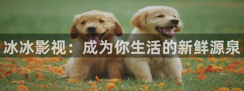 蓝莓视频是什么：冰冰影视：成为你生活的新鲜源泉