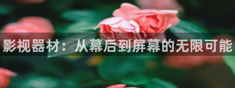 蓝莓视频污：影视器材：从幕后到屏幕的无限可能