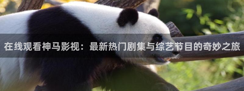 蓝莓视频免费入口：在线观看神马影视：最新热门剧集与综艺节目的奇妙之旅