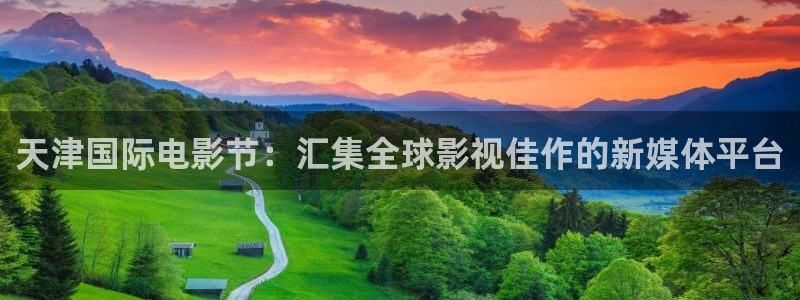 蓝莓视频的网站：天津国际电影节：汇集全球影视佳作的新媒体平台