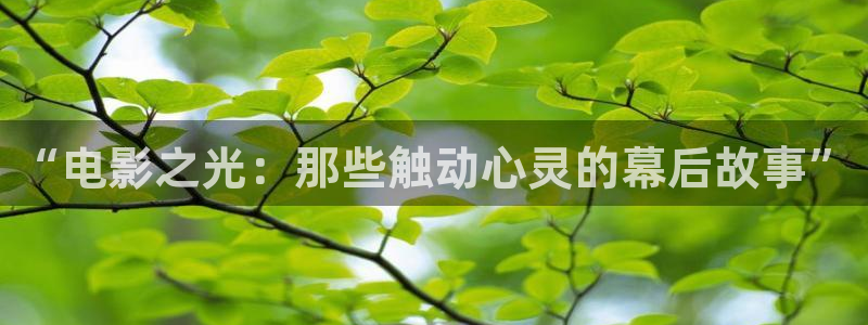 蓝莓视频安卓免费下载安装：“电影之光：那些触动心灵的幕后故事”