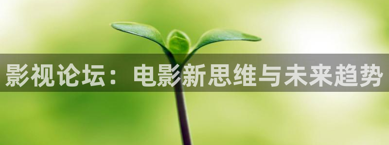 蓝莓扦插方法视频：影视论坛：电影新思维与未来趋势
